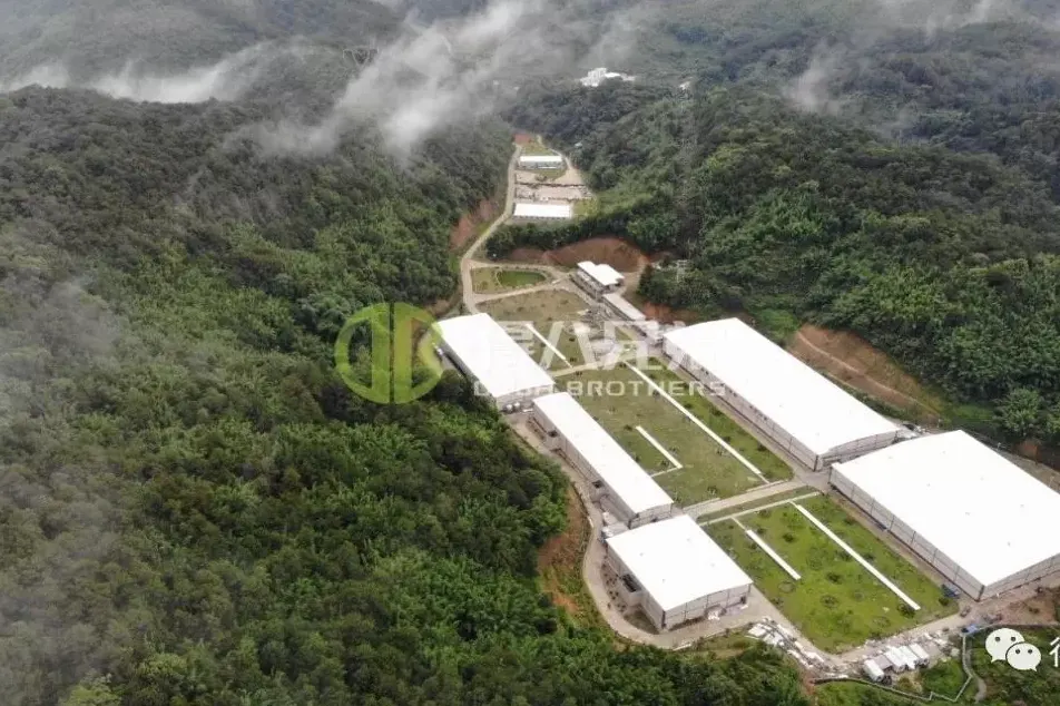 Deba Brothers CEO'su “PIG FARM POWER NETWORK” ile özel bir röportaj