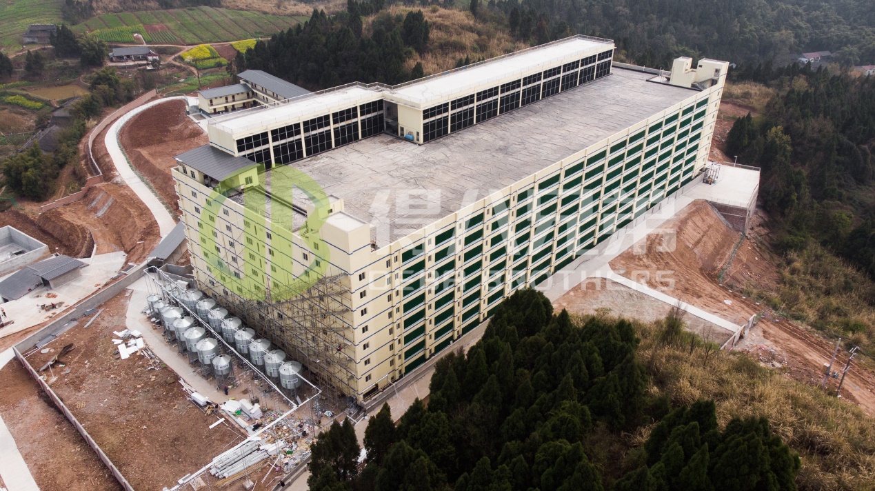 Modern Domuz Çiftliği Tasarımında Çevresel Kalite Nasıl Artırılır?