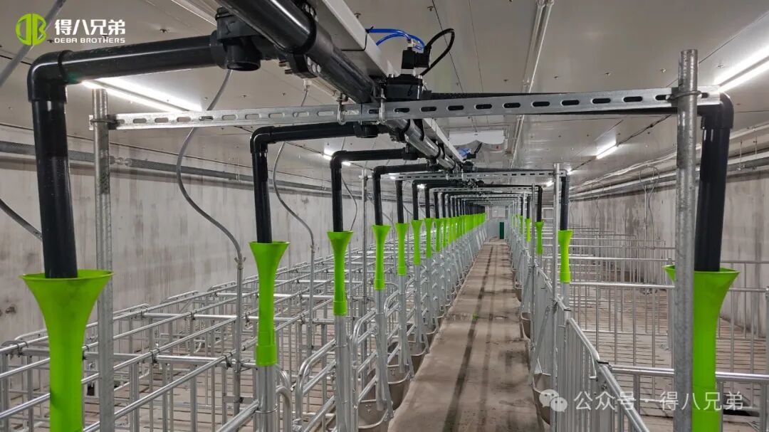 Deba Brother Licha Kara Domuz Yetiştirme ve Yetiştirme Gösteri Üssü - 2.000 Domuzdan oluşan Entegre Operasyon, 50.000 Yıllık Kesim, 67.000 metrekare