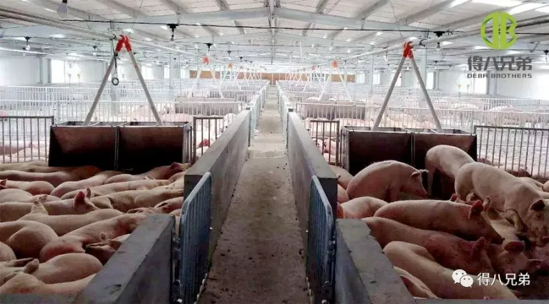 Yaz Aylarında Isı Stresine Karşı Etkili Önlemler
