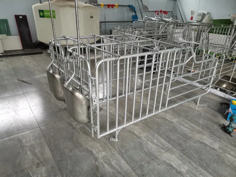 Domuz Yetiştiriciliği Ağıl Ekipmanları için Sıcak Daldırma Galvanizlemenin Temel Avantajları